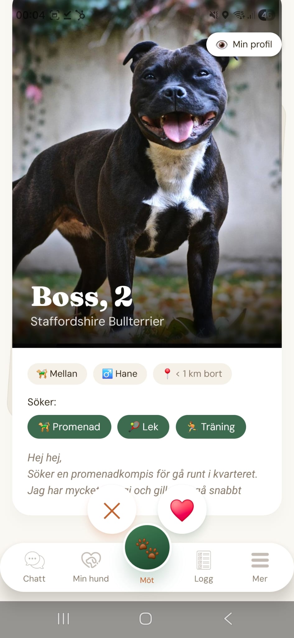 Skapa din hunds profil